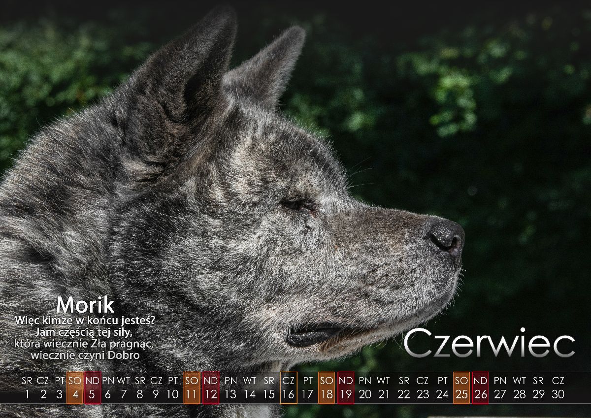 06 Czerwiec2022 copy